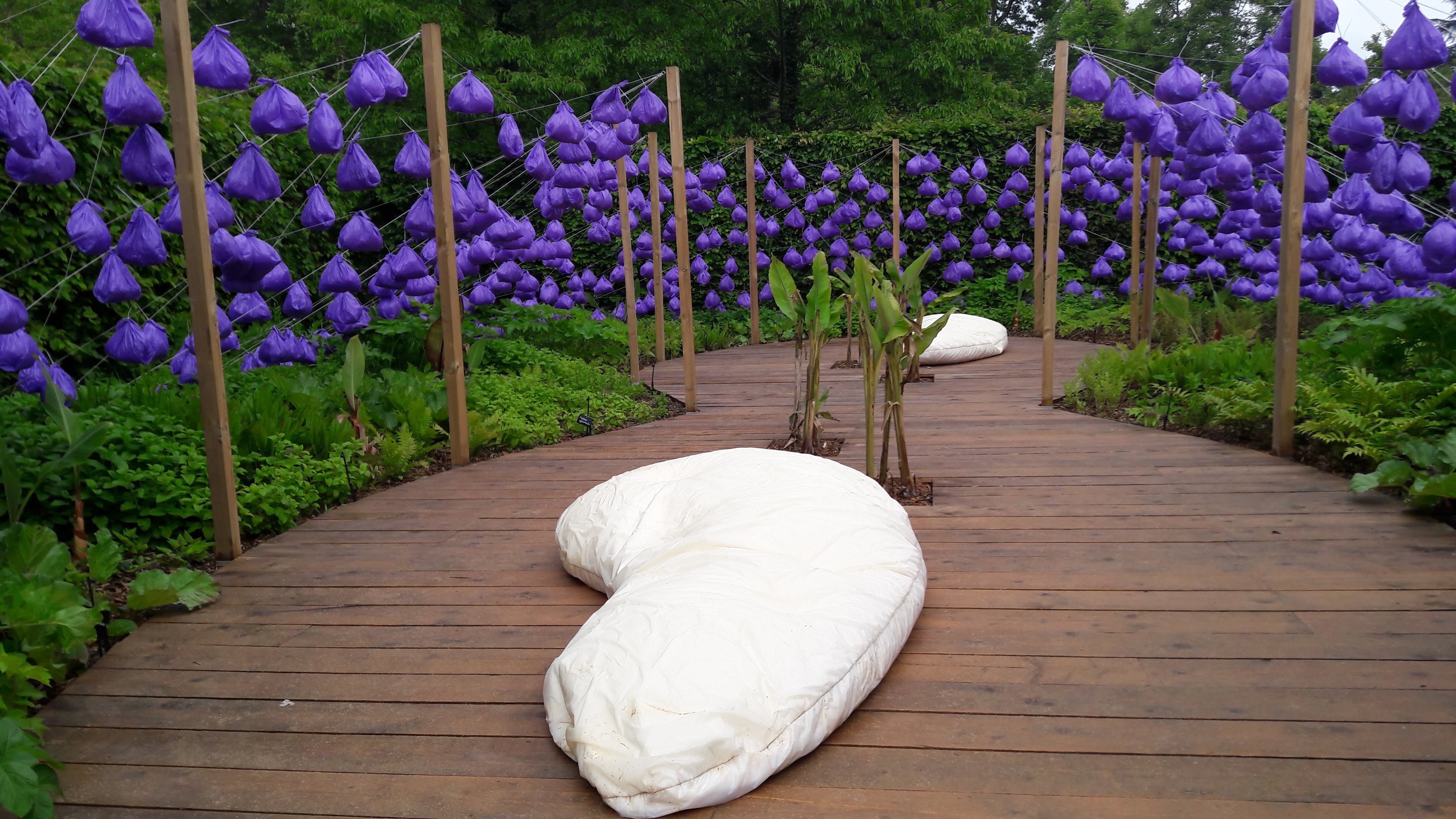 Photo n° 4 de l'avis de laurence.a fait le 19/05/2019 à 12:36