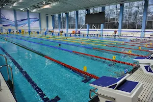 The Burevestnik Swimming Pool image