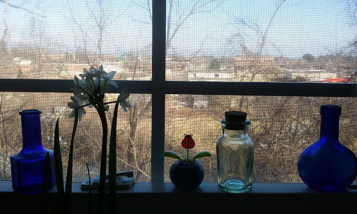 Performing Arts Group «Hendersonville Little Theatre», reviews and photos, 229 S Washington St, Hendersonville, NC 28739, USA