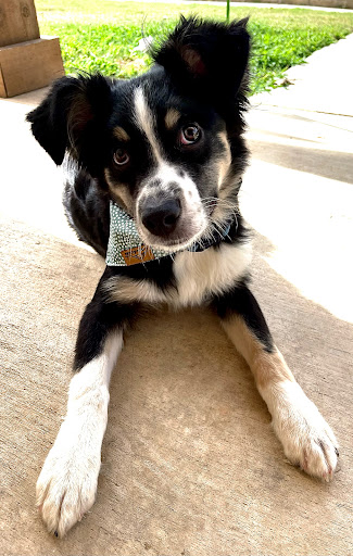 3713 Fort Worth Hwy, Weatherford, TX 76087, USA