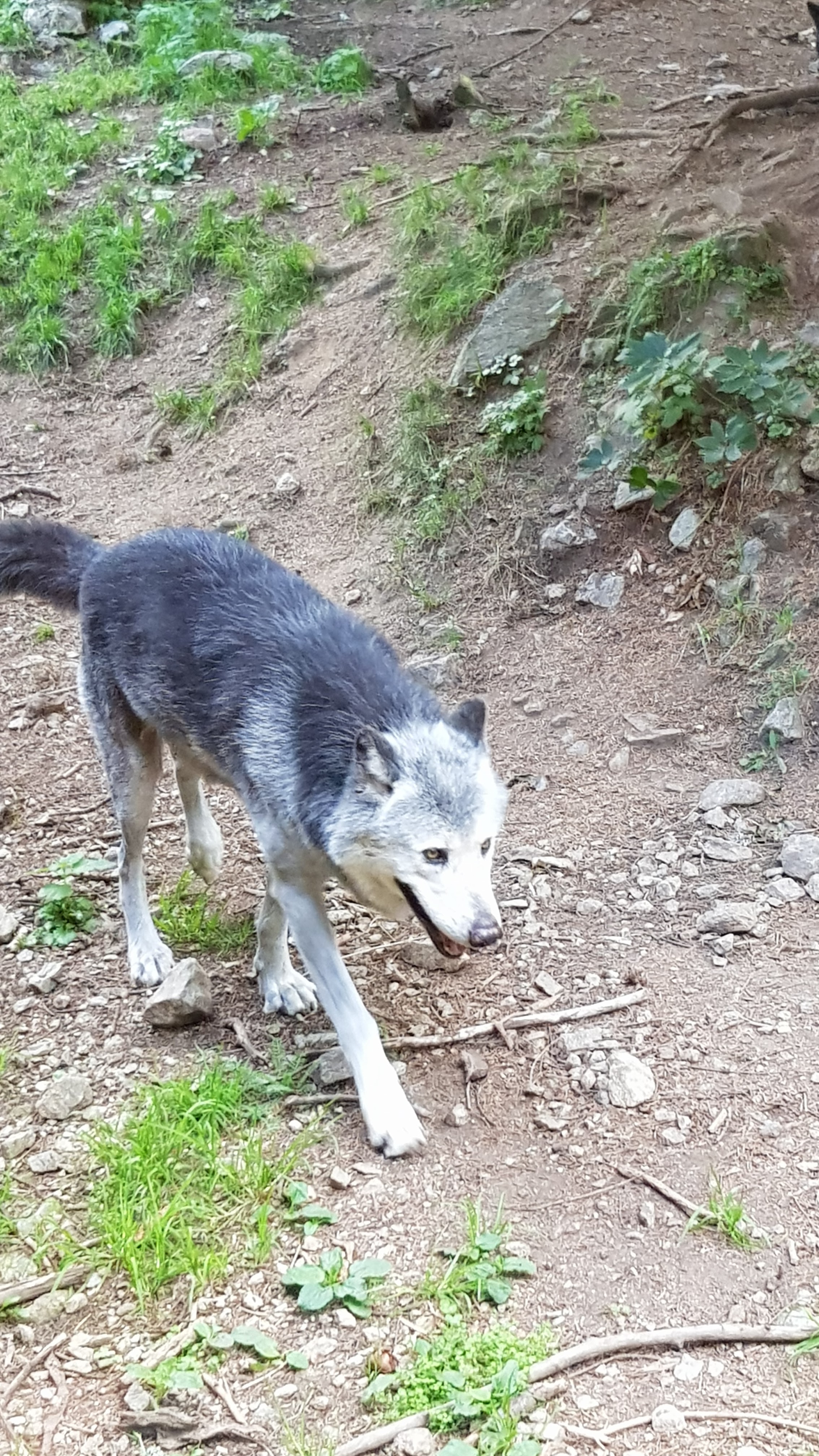 Photo n° 4 de l'avis de Noémie. fait le 05/09/2019 à 15:10
