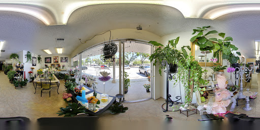 Florist «Four Seasons Floral», reviews and photos, 2087 Drew St, Clearwater, FL 33765, USA