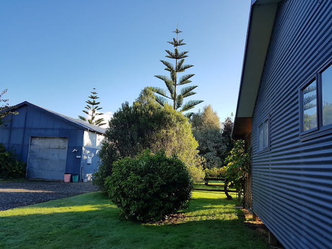 Reviews of Abel Tasman Tours and Guided Walks in Motueka - Museum