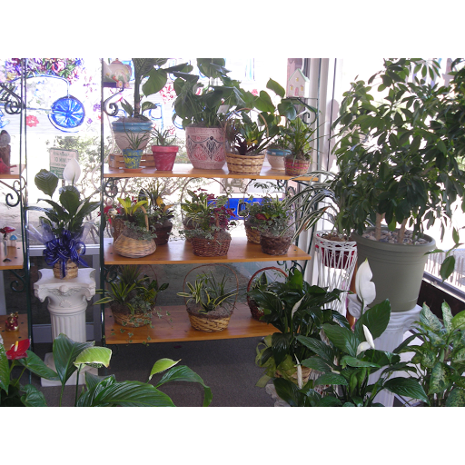 Florist «Petal Pusher Plus Lake Isabella Florist», reviews and photos, 6040 Lake Isabella Blvd a, Lake Isabella, CA 93240, USA