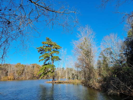 Big Loop Trail