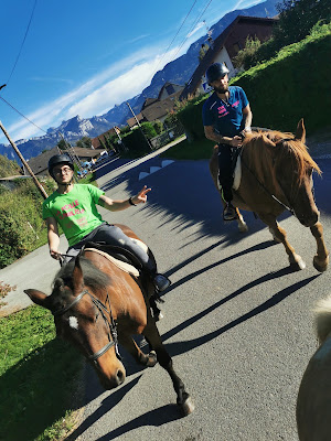 Association Prestiges Poneys à Arenthon