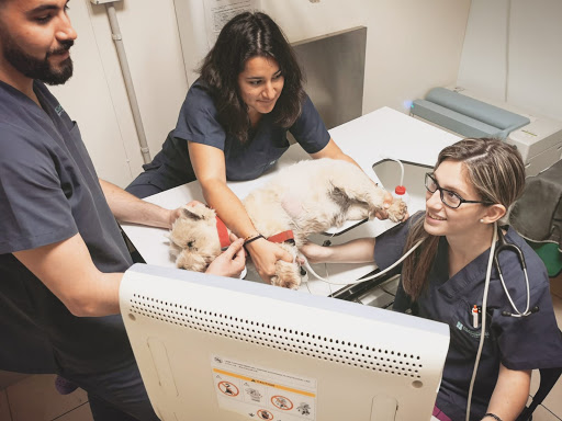 Pratdesaba Veterinaris Taradell en Taradell