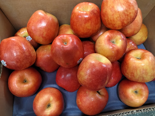 Produce Market «Sun Valley Farms Market», reviews and photos, 2380 NE Coachman Rd, Clearwater, FL 33765, USA