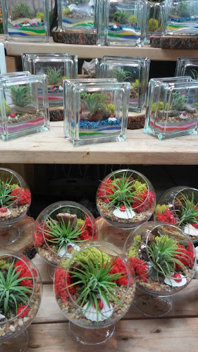 Florist «State Street Flowers & More», reviews and photos, 8401 State St, South Gate, CA 90280, USA