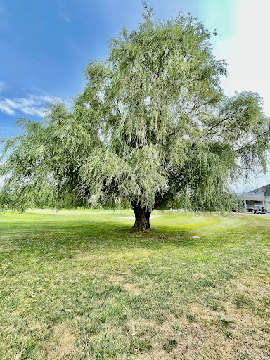 Public Golf Course «Mercer Oaks Golf Course», reviews and photos, 725 Village Rd W, West Windsor Township, NJ 08550, USA