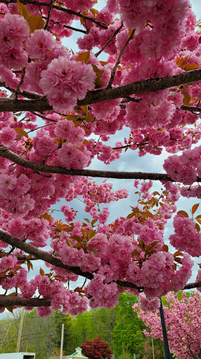 Supermarket «Highland Park Market», reviews and photos, 1721 Boston Turnpike, Coventry, CT 06238, USA