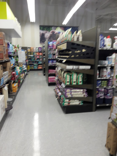 Pet Supply Store «Petco Animal Supplies», reviews and photos, 11398 Bandera Rd #403, San Antonio, TX 78250, USA
