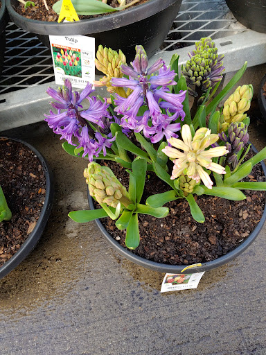 Home Improvement Store «The Home Depot», reviews and photos, 200 Altama Connector, Brunswick, GA 31520, USA