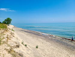 Kohler-Andrae Beach'in fotoğrafı vahşi alan