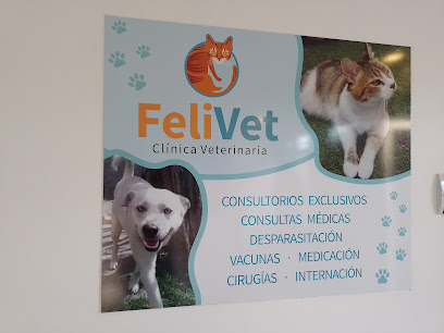 Clínica Veterinaria FeliVet