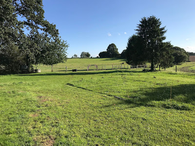 écurie de Vautorte - pension pour chevaux à Vautorte