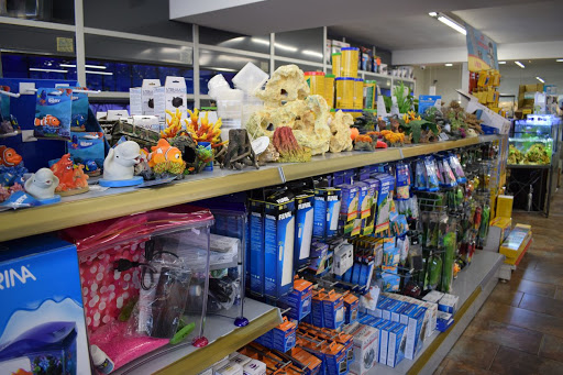 Fauna Gibert - Manresa