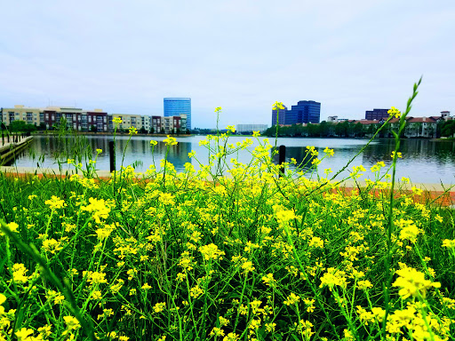 Tourist Attraction «Mandalay Canal Walk at Las Colinas», reviews and photos, 215 Mandalay Canal, Irving, TX 75039, USA