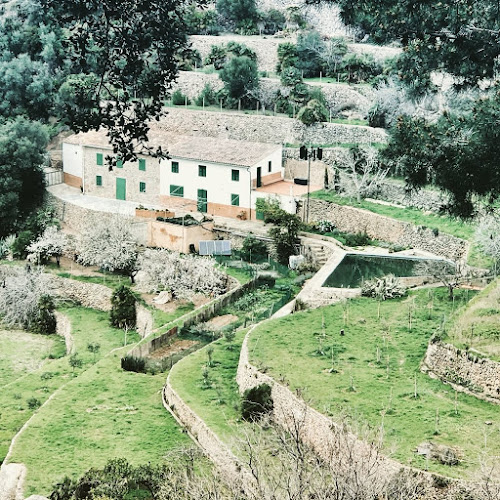 Opinii despre SwissLine în Altstätten - Immobilienmakler