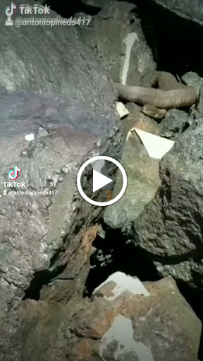 Honda Dealer «Talbot Power Sports», reviews and photos, 9477 Ocean Gateway, Easton, MD 21601, USA