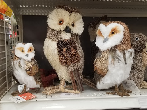 Variety Store «Five Below», reviews and photos, 846 Pelham Pkwy, Pelham, NY 10803, USA