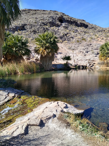Visitor Center «Lake Mead National Recreation Area Headquarters», reviews and photos