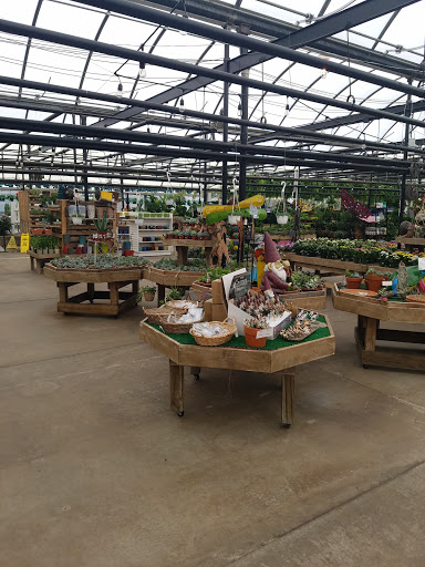 Garden Center «H J Benken Florist & Garden», reviews and photos, 6000 Plainfield Rd, Cincinnati, OH 45213, USA
