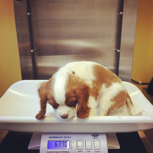 70 Beacon St, Somerville, MA 02143, USA