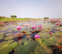 Ban Suan Nok Nam photo