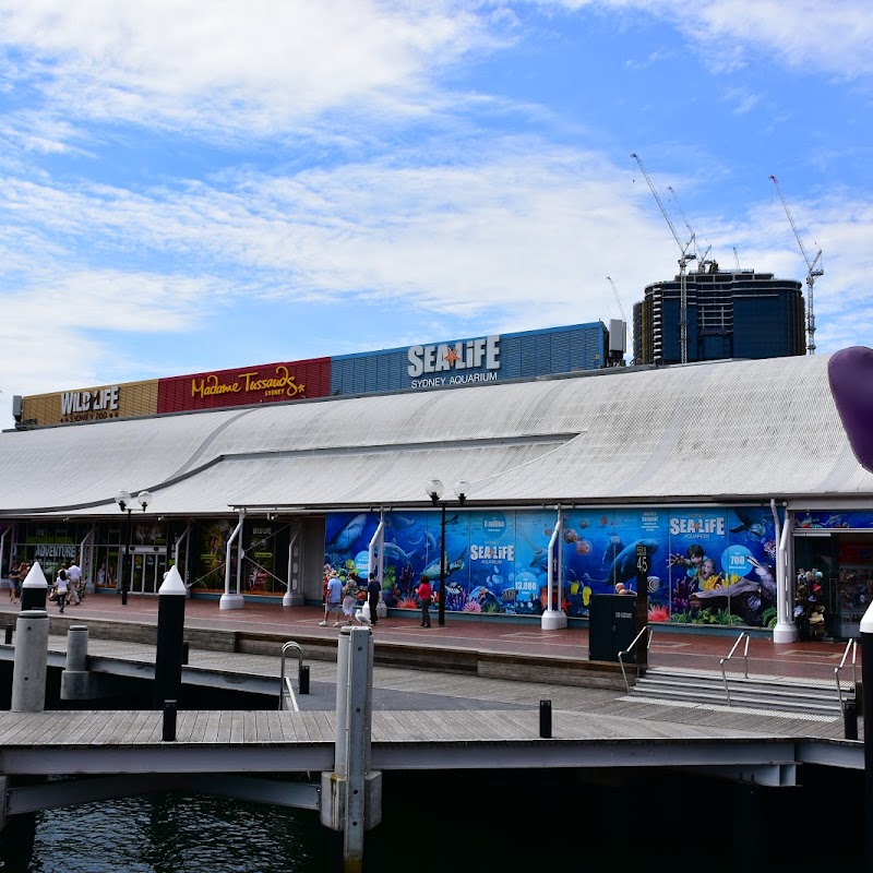 Madame Tussauds Sydney