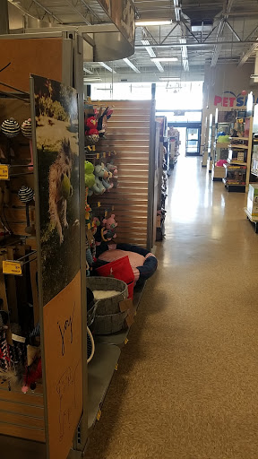 Pet Supply Store «PetSmart», reviews and photos, 730 S Sepulveda Blvd, El Segundo, CA 90245, USA