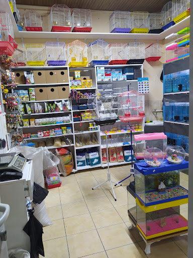 Erdem Petshop | Serik Antalya - Evcil hayvan mağazası