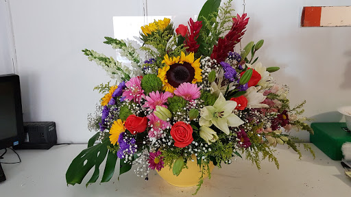 FLORERÍA AZAHAREL – Hermosillo