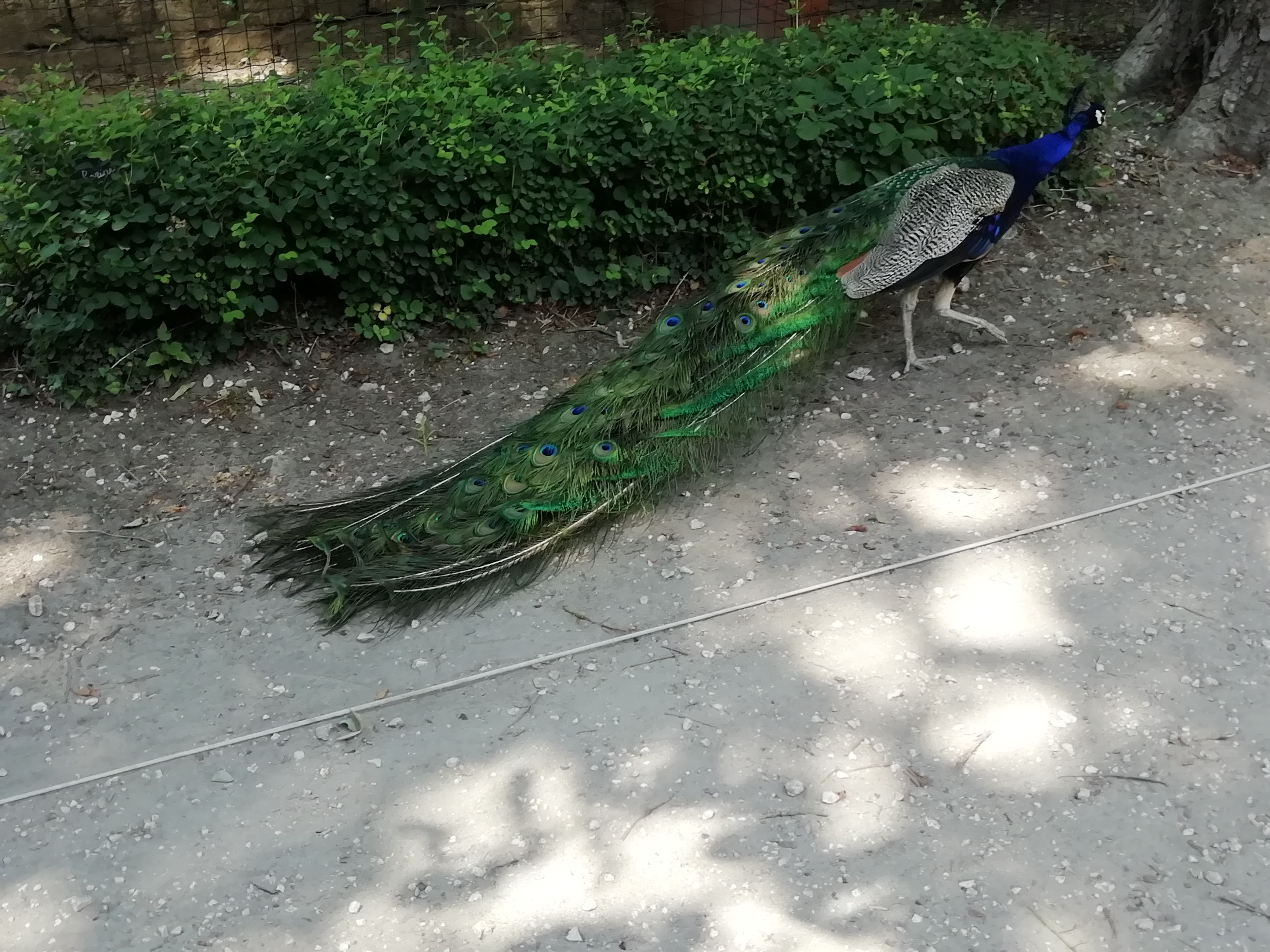 Photo n° 4 de l'avis de Marie.h fait le 17/06/2019 à 19:35