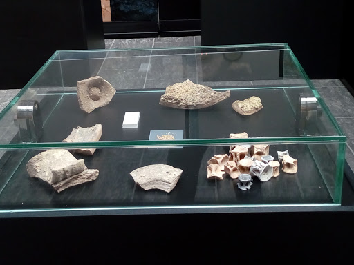 Información y opiniones sobre Peluquería Nolo de Cádiz