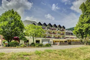 Moselstern-Hotel Fuhrmann image
