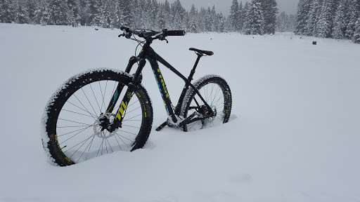 Ski Resort «Ski Cooper», reviews and photos, 232 County Road 29, Leadville, CO 80461, USA