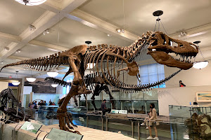 American Museum of Natural History image