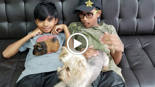 Pet Store «Tropical Pets Inc.», reviews and photos, 37-65 103rd St, Corona, NY 11368, USA