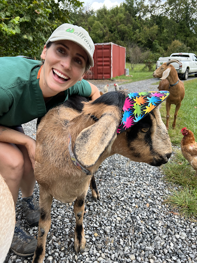 Ironsides Animal Health (formerly Wellfarm Veterinary Consultants) image