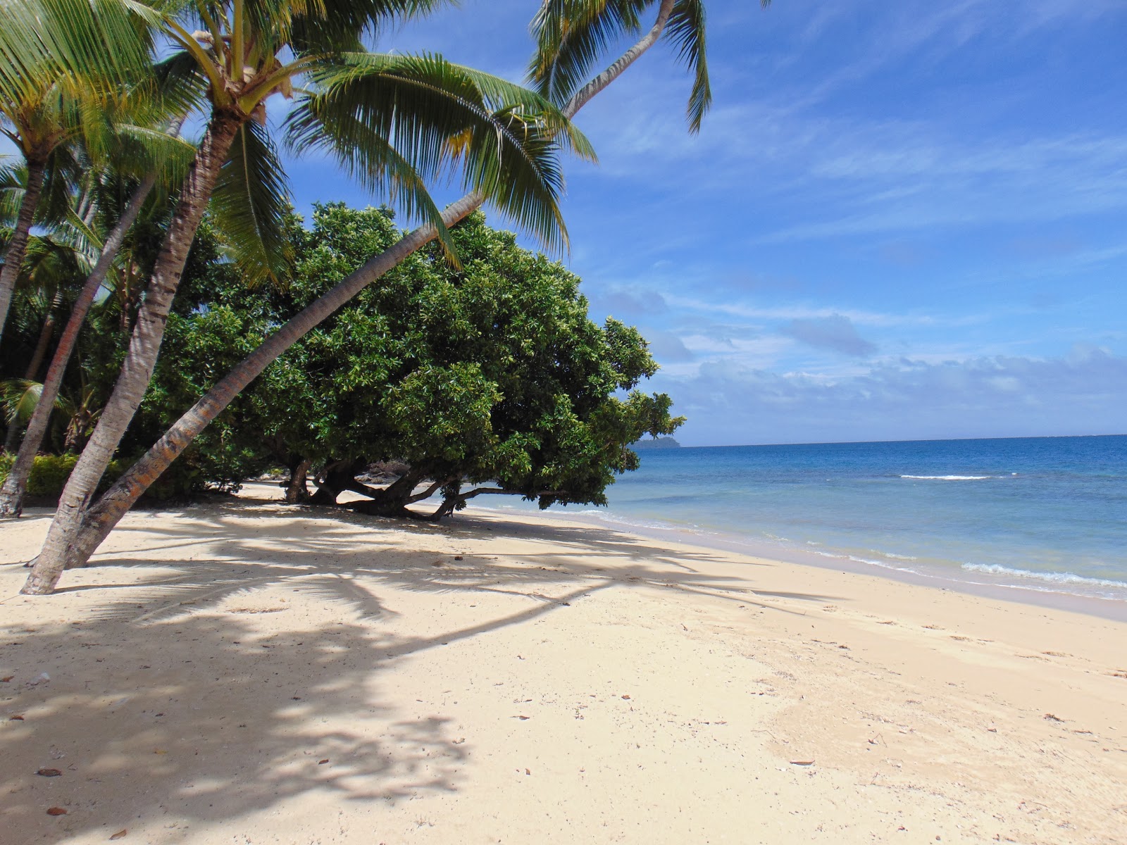 Fotografie cu Laucala Beach II cu o suprafață de nisip beige