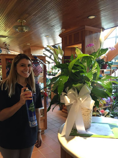 Florist «The Orchid Florist», reviews and photos, 1 Chase Ave, Waterbury, CT 06704, USA