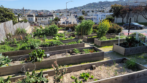 Community garden Daly City
