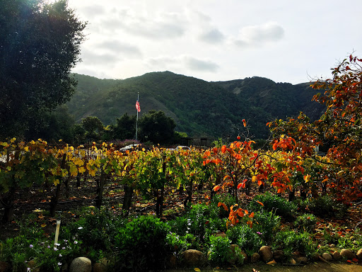 Winery «Georis Winery», reviews and photos, 1 Pilot Rd, Carmel Valley, CA 93924, USA