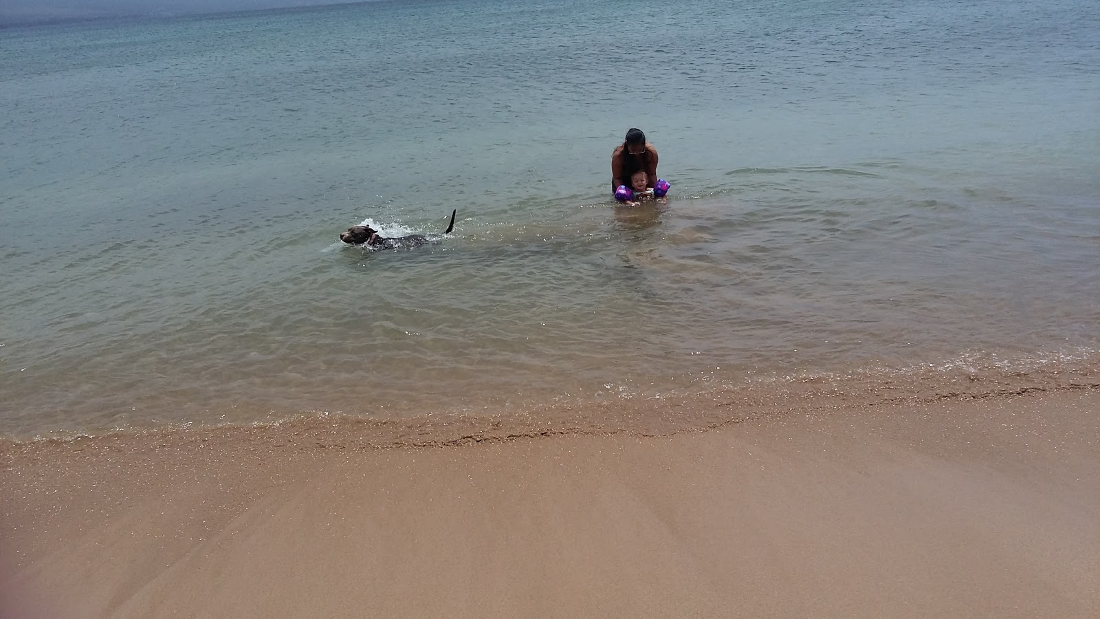 Coast Guard Beach photo #8