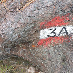 Photo n°17 de l'avis de Massimo.o fait le 26/06/2018 à 17:33 sur le  Berghotel Piné à Tiers