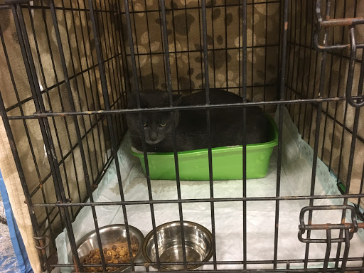 Pet Supply Store «PetSmart», reviews and photos, 2061 Skibo Rd, Fayetteville, NC 28314, USA