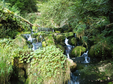 Source de la Doue CW48+VJ Source de la Doue, 25310 Abbévillers, France