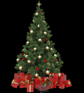 The Christmas Tree Company