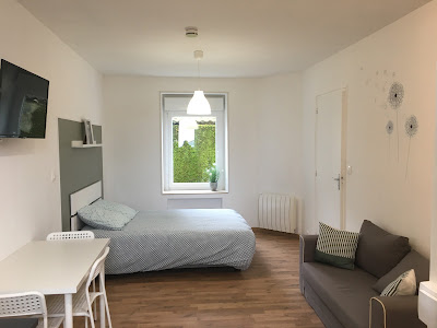Logements AirBnB - Chez Geoffrey et Eve à Arçonnay